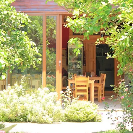 Mercan B&B Çıralı