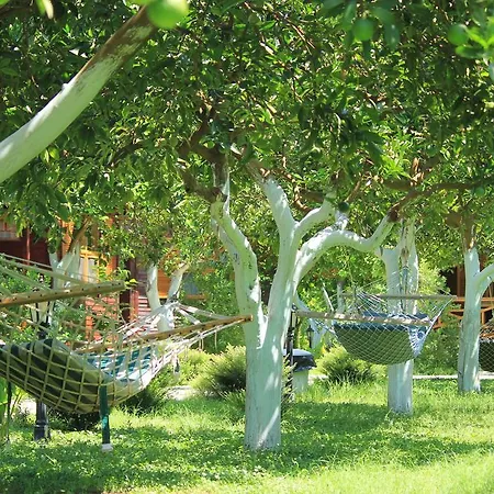 B&B Mercan 3*