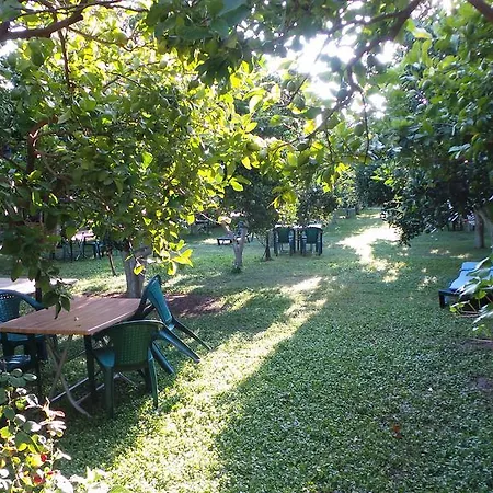 Mercan B&B