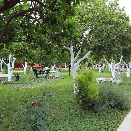 Mercan B&B Çıralı